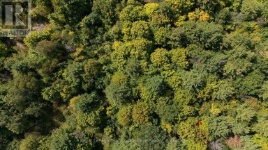0 LADDS / SHORTS MILL CO ROAD Whitestone Ontario photo 12
