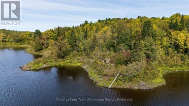 0 LADDS / SHORTS MILL CO ROAD Whitestone Ontario photo 13