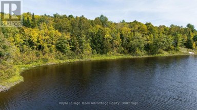 0 LADDS / SHORTS MILL CO ROAD Whitestone Ontario photo 14