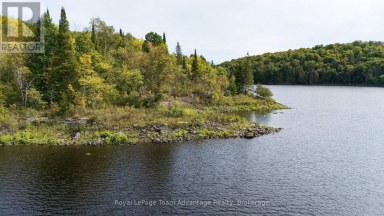 0 LADDS / SHORTS MILL CO ROAD Whitestone Ontario photo 15
