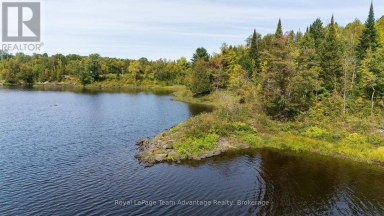 0 LADDS / SHORTS MILL CO ROAD Whitestone Ontario photo 3