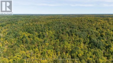 0 LADDS / SHORTS MILL CO ROAD Whitestone Ontario photo 6