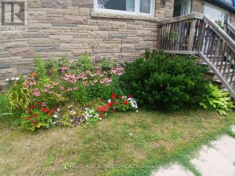 1,2,3 - 38 RIVER DRIVE Halton Hills (Georgetown) Ontario photo 3