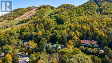 27 - 102 WENSLEY DRIVE Blue Mountains Ontario photo 38