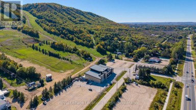 27 - 102 WENSLEY DRIVE Blue Mountains Ontario photo 40