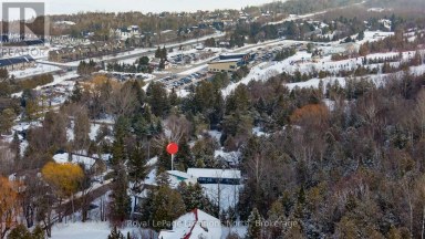 27 - 102 WENSLEY DRIVE Blue Mountains Ontario photo 47