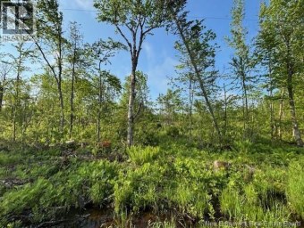 000 Upper Tower Hill Road Tower Hill New Brunswick photo 5