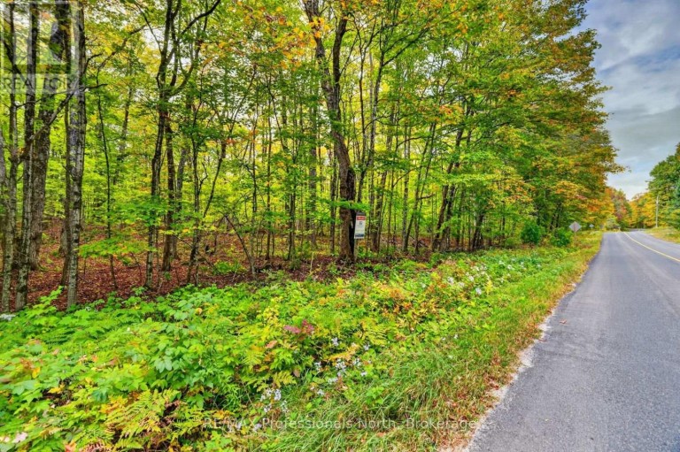 1102 PARALLEL FALLS LANE, Minden Hills (Minden), Ontario, K0M2K0