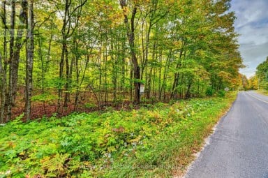 1102 PARALLEL FALLS LANE Minden Hills (Minden) Ontario photo 37