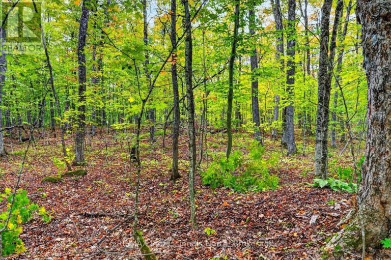 1102 PARALLEL FALLS LANE, Minden Hills (Minden), Ontario, K0M2K0