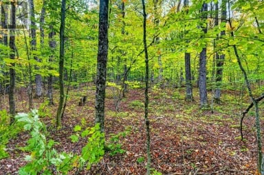 1102 PARALLEL FALLS LANE Minden Hills (Minden) Ontario photo 39