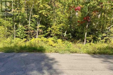 000 Pumpkin Point RD E Laird Ontario photo 1