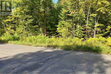 000 Pumpkin Point RD E Laird Ontario photo 3