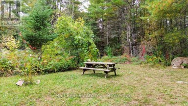 N/A COON LAKE ROAD North Kawartha Ontario photo 11