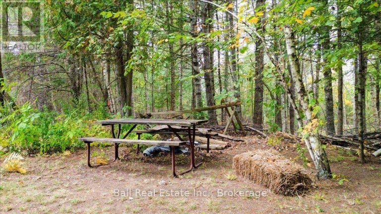 N/A COON LAKE ROAD, North Kawartha, Ontario, K0L1A0