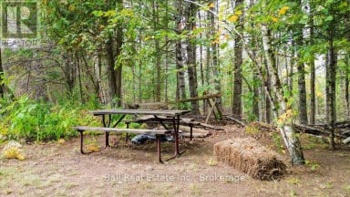 N/A COON LAKE ROAD North Kawartha Ontario photo 17