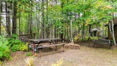 N/A COON LAKE ROAD North Kawartha Ontario photo 19