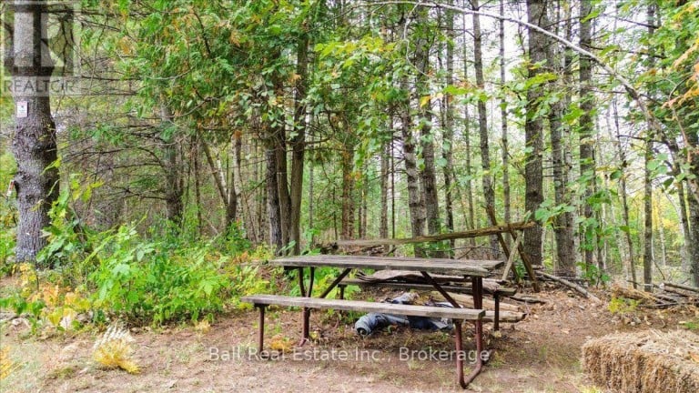 N/A COON LAKE ROAD, North Kawartha, Ontario, K0L1A0