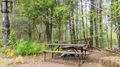 N/A COON LAKE ROAD North Kawartha Ontario photo 26