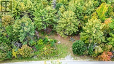 N/A COON LAKE ROAD North Kawartha Ontario photo 28