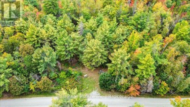 N/A COON LAKE ROAD North Kawartha Ontario photo 29