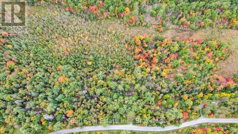 N/A COON LAKE ROAD, North Kawartha, Ontario, K0L1A0
