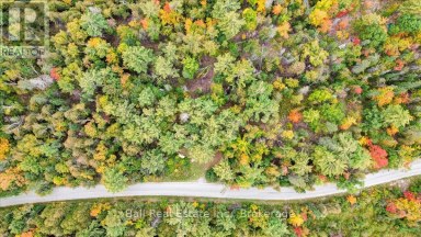 N/A COON LAKE ROAD North Kawartha Ontario photo 35