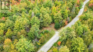 N/A COON LAKE ROAD North Kawartha Ontario photo 38