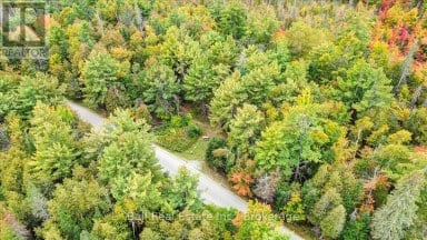 N/A COON LAKE ROAD North Kawartha Ontario photo 39