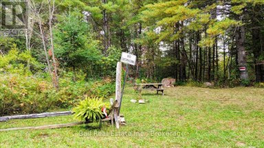 N/A COON LAKE ROAD North Kawartha Ontario photo 40