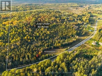 1367 DETLOR ROAD Bancroft (Dungannon Ward) Ontario photo 3