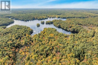 4 WHEEL DRIVE Gravenhurst (Wood (Gravenhurst)) Ontario photo 2