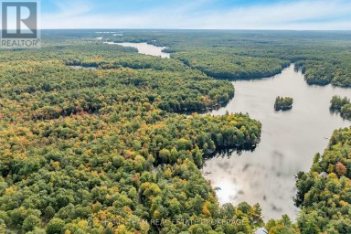 4 WHEEL DRIVE Gravenhurst (Wood (Gravenhurst)) Ontario photo 4