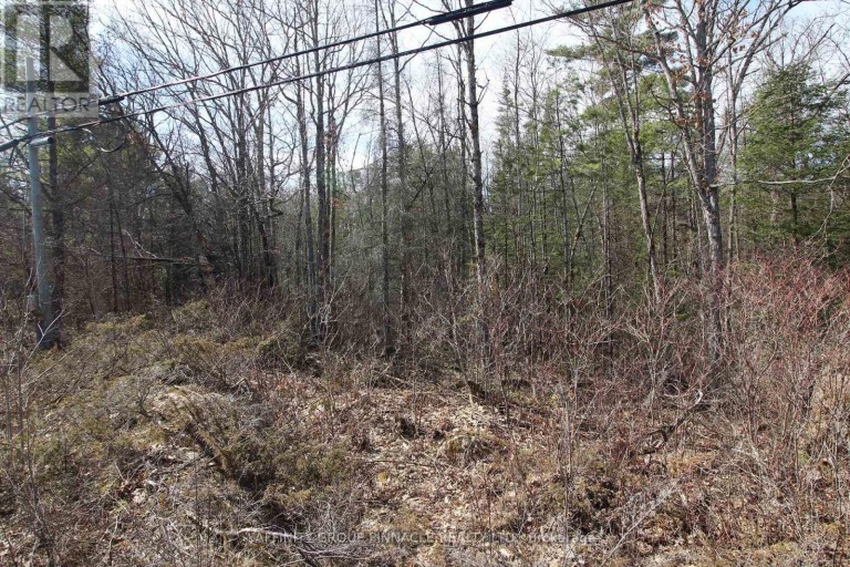 LOT 15 CONCESSION 9, Trent Lakes, Ontario, K0L1J0