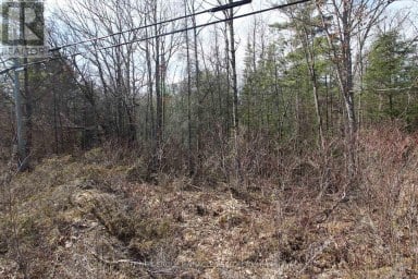 LOT 15 CONCESSION 9 Trent Lakes Ontario photo 10