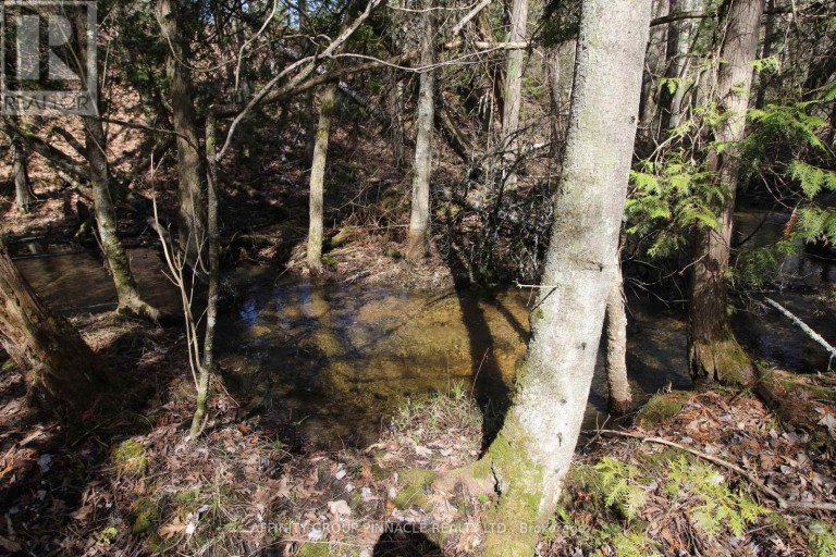 LOT 15 CONCESSION 9, Trent Lakes, Ontario, K0L1J0