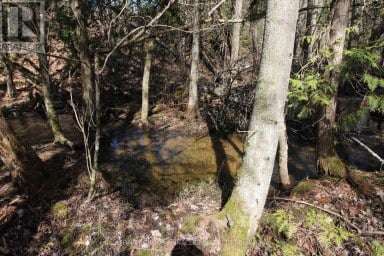 LOT 15 CONCESSION 9 Trent Lakes Ontario photo 11
