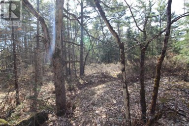 LOT 15 CONCESSION 9 Trent Lakes Ontario photo 12