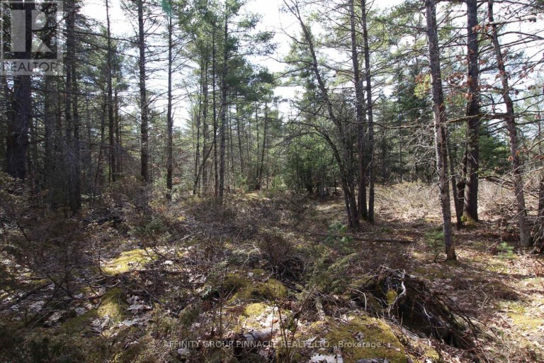 LOT 15 CONCESSION 9, Trent Lakes, Ontario, K0L1J0