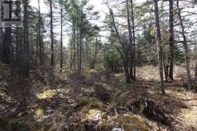 LOT 15 CONCESSION 9 Trent Lakes Ontario photo 13