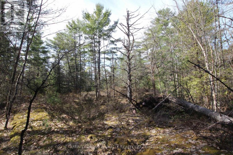 LOT 15 CONCESSION 9, Trent Lakes, Ontario, K0L1J0