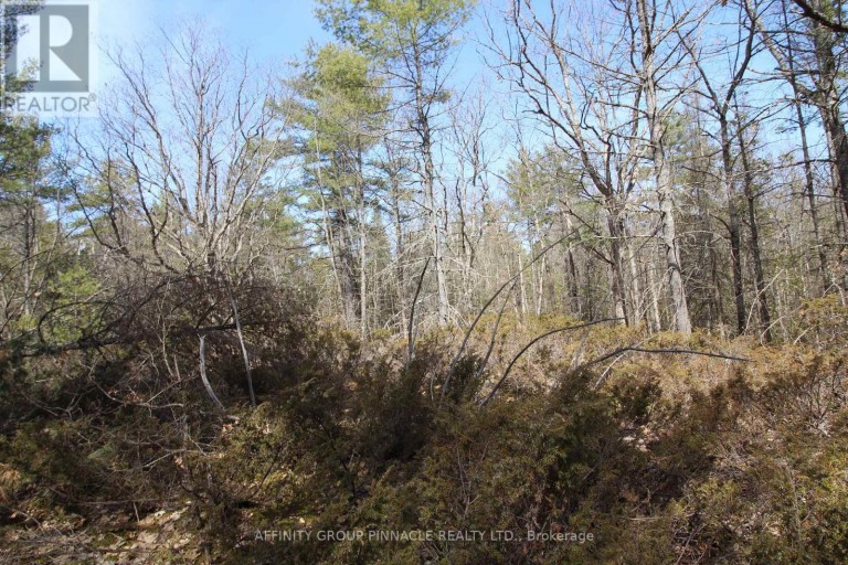 LOT 15 CONCESSION 9, Trent Lakes, Ontario, K0L1J0