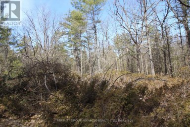LOT 15 CONCESSION 9 Trent Lakes Ontario photo 16