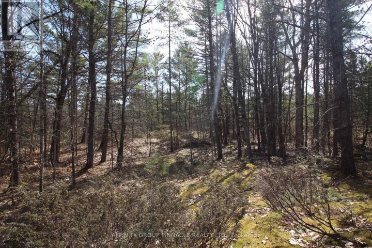 LOT 15 CONCESSION 9, Trent Lakes, Ontario, K0L1J0