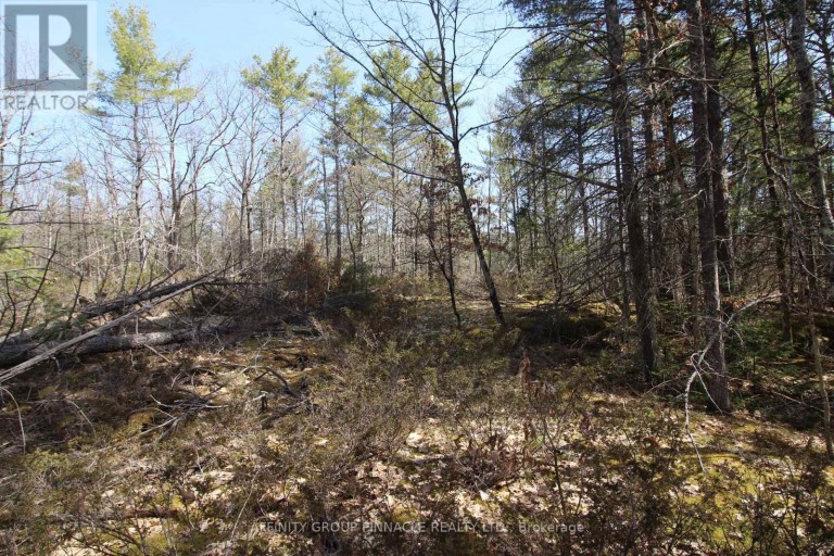 LOT 15 CONCESSION 9, Trent Lakes, Ontario, K0L1J0