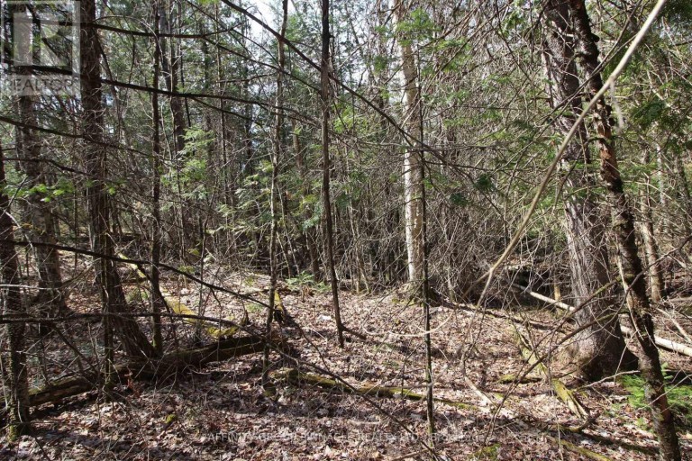 LOT 15 CONCESSION 9, Trent Lakes, Ontario, K0L1J0