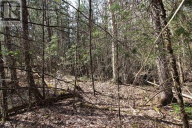 LOT 15 CONCESSION 9 Trent Lakes Ontario photo 4