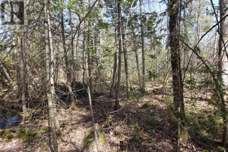 LOT 15 CONCESSION 9, Trent Lakes, Ontario, K0L1J0