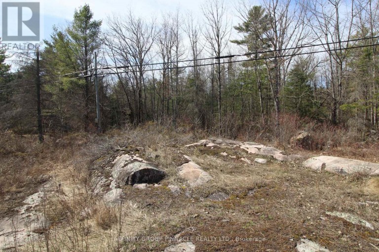 LOT 15 CONCESSION 9, Trent Lakes, Ontario, K0L1J0