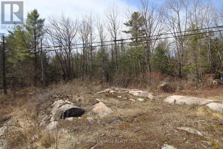 LOT 15 CONCESSION 9, Trent Lakes, Ontario, K0L1J0